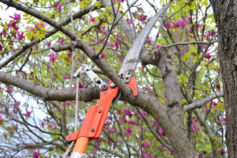 Branches Pruning in Aiken, SC