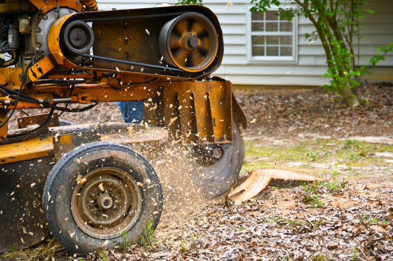 Bush Stump Grinding in Aiken, SC