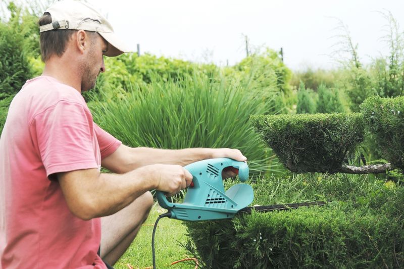 Bush Trimming Service in Rockwall, TX
