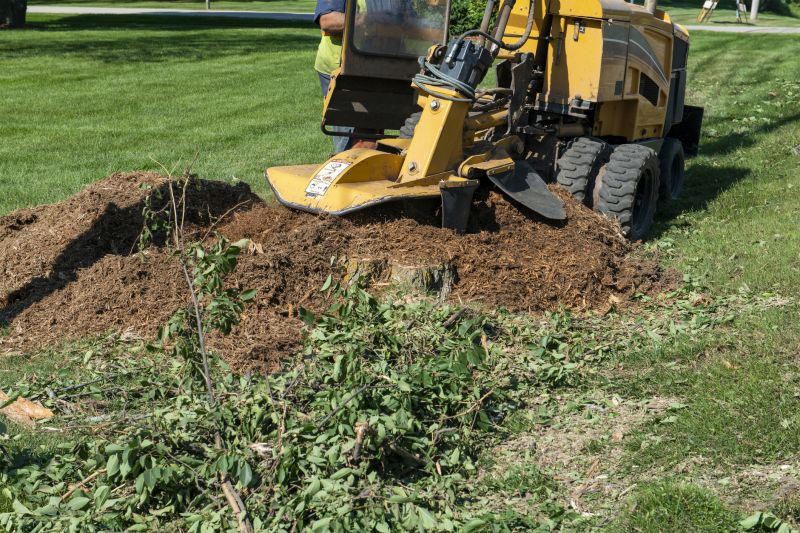Commercial Stump Grinding in Aiken, SC