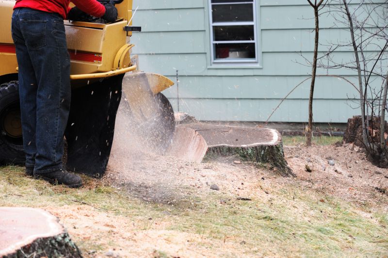 Commercial Stump Grinding in Calvert County, MD