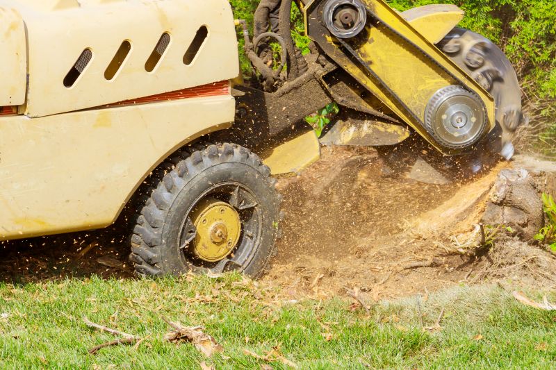 Commercial Stump Grinding in Calvert County, MD