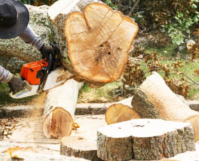 Commercial Tree Removal in Montgomery County, PA