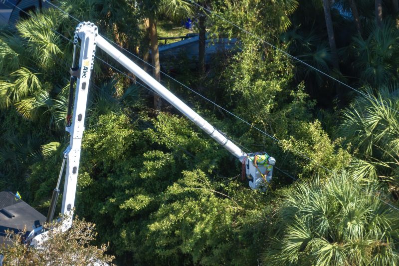 Commercial Tree Trimming in San Jose, CA