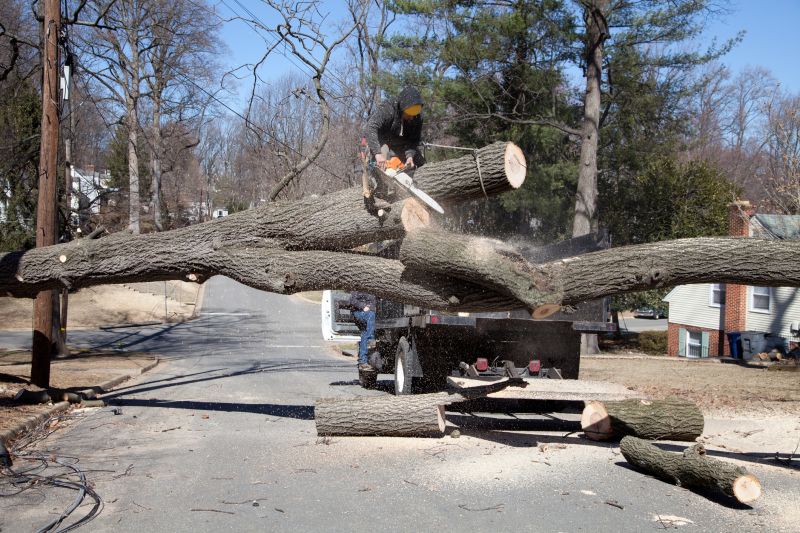Dead Tree Removal in Aiken, SC
