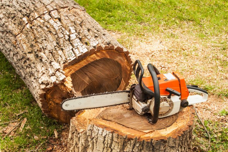 Deadwood Removal in Reno, NV