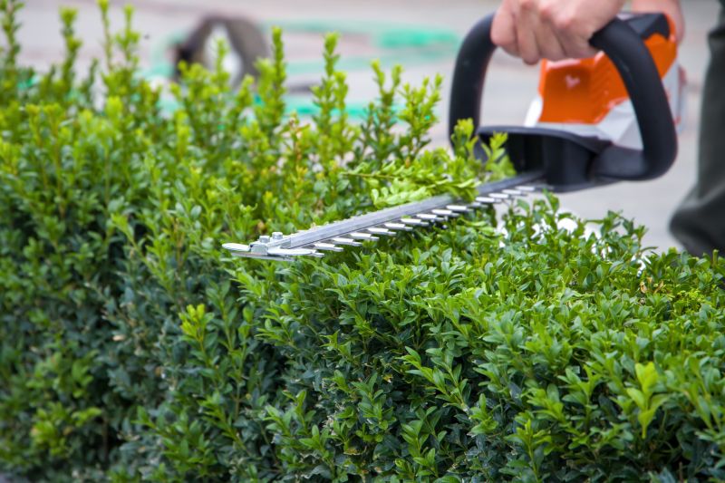 Hedge Removal Service in Ventura County, CA