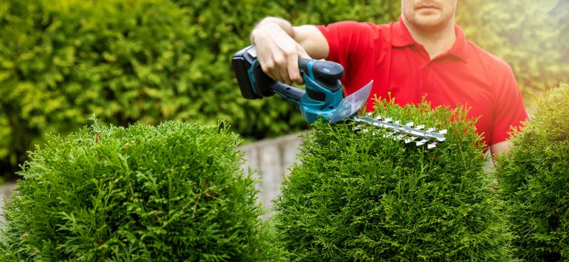 Landscape Pruning Service in Aiken, SC