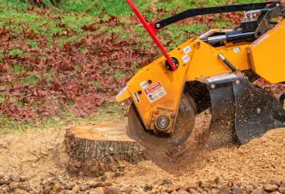 Stump Cutting in Waldorf, MD