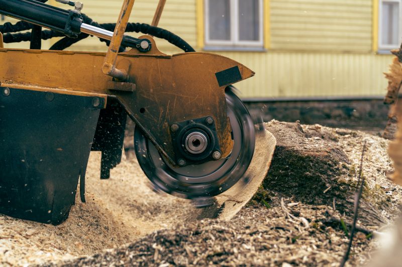 Stump Grinding Service in Waldorf, MD