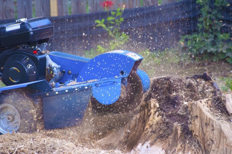 Stump Grinding Service in Aiken, SC