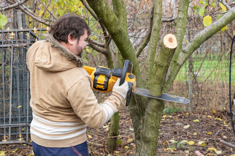 Tree Service in Bucks County, PA