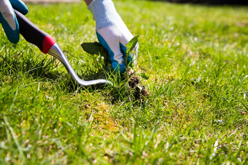 Weeding Service in Aiken, SC
